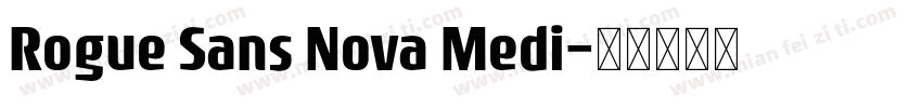 Rogue Sans Nova Medi字体转换